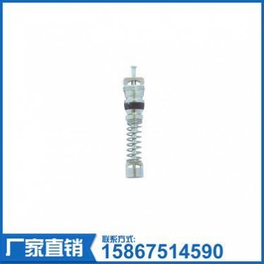 宁波厂家汽车、摩托车轮胎气门芯 锌合金气门芯阀 6001 6002