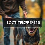 LOCTITE瞬干胶420（图4）