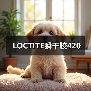 LOCTITE瞬干胶420（图1）
