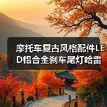 摩托车复古风格配件LED铝合金刹车尾灯哈雷摩托车改装金属LED尾灯（图3）