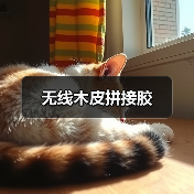 无线木皮拼接胶（图1）