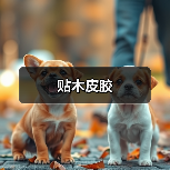 贴木皮胶（图2）