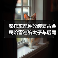 摩托车配件改装复古金属哈雷巡航太子车后尾灯刹车灯车牌刹车尾灯（图4）
