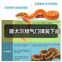 斯太尔排气门弹簧下座（图1）