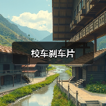 校车刹车片（图1）