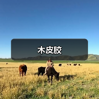 木皮胶（图2）