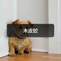 木皮胶（图4）