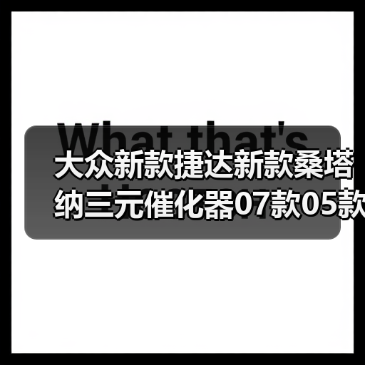 大众新款捷达新款桑塔纳三元催化器07款05款保验车保故障灯捷达王（图3）