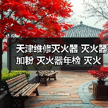 天津维修灭火器 灭火器加粉 灭火器年检 灭火器冲压 维修价格（图3）