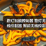 路灯智能控制器 路灯无线控制器 智能无线控制器（图1）