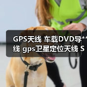 GPS天线 车载DVD导**线 gps卫星定位天线 SMA公湾头GPS通用天线（图3）