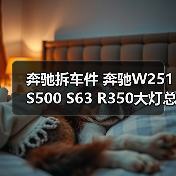 奔驰拆车件 奔驰W251 S500 S63 R350大灯总成 尾灯拆车件（图3）