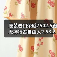 原装进口荣威7502.5路虎神行者自由人2.53.2V6发动机（图2）