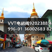 VVT电磁阀9202388 4996-01 36002683 8202388 9202388（图3）