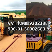 VVT电磁阀9202388 4996-01 36002683 8202388 9202388（图2）