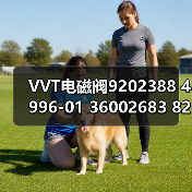 VVT电磁阀9202388 4996-01 36002683 8202388 9202388（图1）