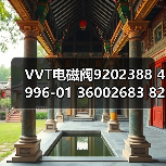 VVT电磁阀9202388 4996-01 36002683 8202388 9202388（图4）