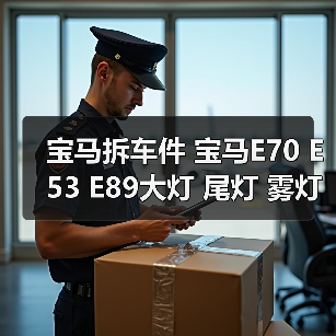 宝马拆车件 宝马E70 E53 E89大灯 尾灯 雾灯 原厂拆车件（图1）