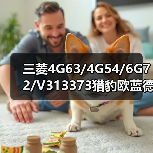 三菱4G63/4G54/6G72/V313373猎豹欧蓝德蓝瑟菱绅帕杰罗加机油口盖（图4）