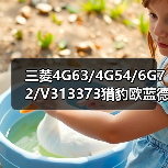 三菱4G63/4G54/6G72/V313373猎豹欧蓝德蓝瑟菱绅帕杰罗加机油口盖（图1）