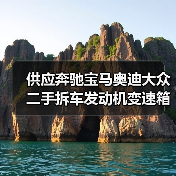 供应奔驰宝马奥迪大众二手拆车发动机变速箱总成拆车件（图4）