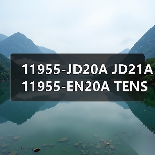 11955-JD20A JD21A 11955-EN20A TENSIONER PULLEY 涨紧轮 适用于（图1）