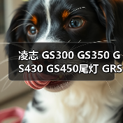 凌志 GS300 GS350 GS430 GS450尾灯 GRS190后尾灯 刹车灯拆车（图4）