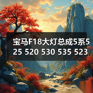 宝马F18大灯总成5系525 520 530 535 523原装拆车件新老款疝气灯（图2）