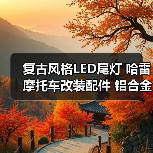 复古风格LED尾灯 哈雷摩托车改装配件 铝合金刹车灯（图3）