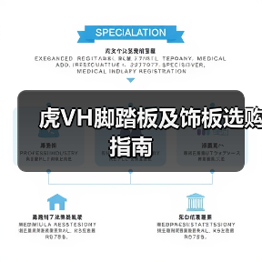 虎VH脚踏板及饰板选购指南（图4）