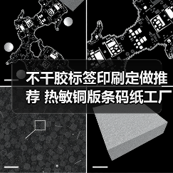 不干胶标签印刷定做推荐 热敏铜版条码纸工厂一站式解决方案