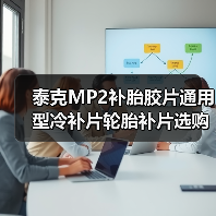 泰克MP2补胎胶片通用型冷补片轮胎补片选购指南（图2）