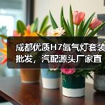 成都优质H7氙气灯套装批发，汽配源头厂家直供（图3）