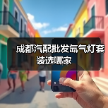 成都汽配批发氙气灯套装选哪家（图4）