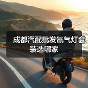 成都汽配批发氙气灯套装选哪家（图3）