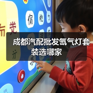 成都汽配批发氙气灯套装选哪家（图2）