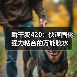 瞬干胶420：快速固化强力粘合的万能胶水（图4）