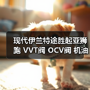 现代伊兰特途胜起亚狮跑 VVT阀 OCV阀 机油控制阀 24355-23770 原厂配件（图4）