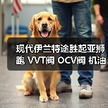 现代伊兰特途胜起亚狮跑 VVT阀 OCV阀 机油控制阀 24355-23770 原厂配件（图3）
