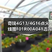 奇瑞4G13/4G16点火线圈F01R00A041选购指南，正品低价