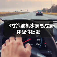 3寸汽油机水泵总成泵体配件批发（图1）