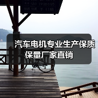 汽车电机专业生产保质保量厂家直销（图3）