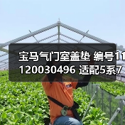 宝马气门室盖垫 编号11120030496 适配5系7系X3X5Z4（图2）