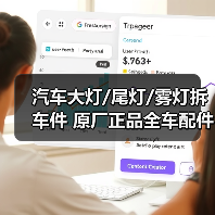 汽车大灯/尾灯/雾灯拆车件 原厂正品全车配件批发（图2）
