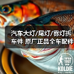 汽车大灯/尾灯/雾灯拆车件 原厂正品全车配件批发（图3）