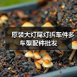 原装大灯尾灯拆车件多车型配件批发（图3）