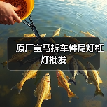 原厂宝马拆车件尾灯杠灯批发 原厂宝马拆车件尾灯杠灯批发