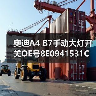 奥迪A4 B7手动大灯开关OE号8E0941531C原厂配件（图2）