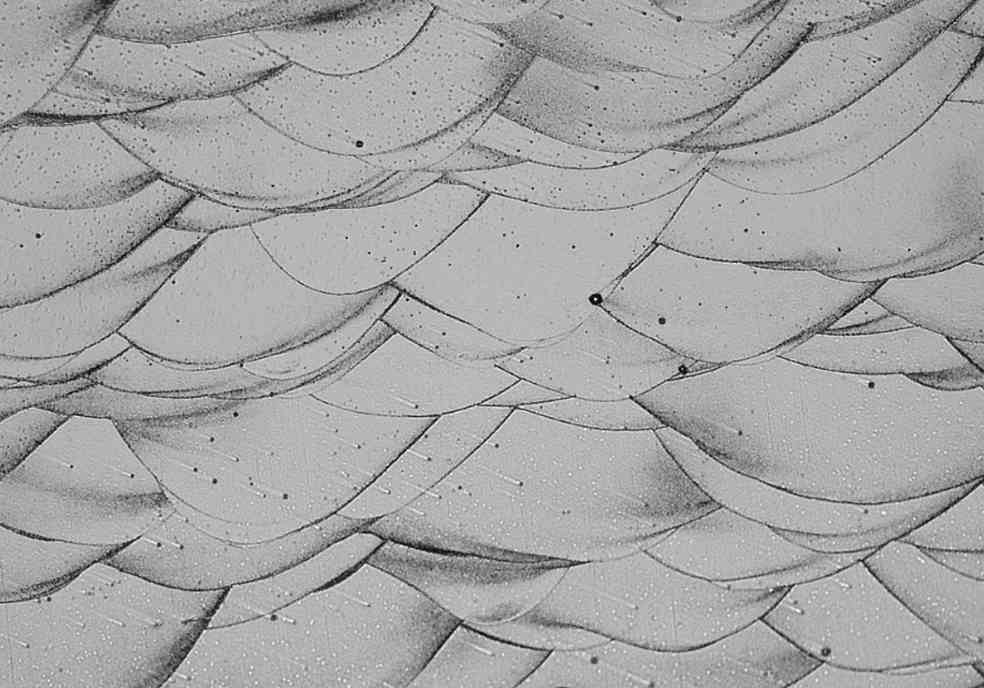 金属3D打印新铝合金：300°C仍高强韧耐热