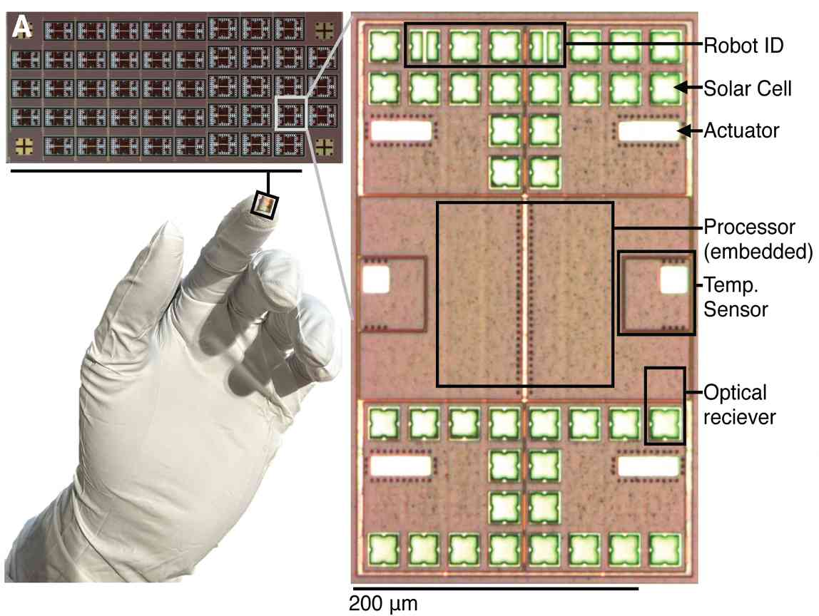 内置计算与传感的微型机器人，比米粒更小，可自主穿梭人体修复，突破外部控制限制，迈向微创手术新阶段